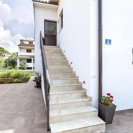 Alex - 100 Meters From
