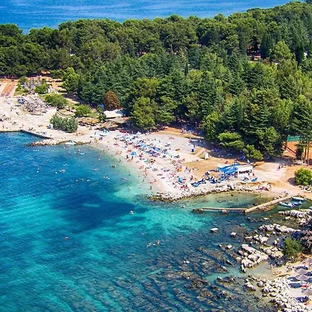 Alex - 100 Meters From * Porec